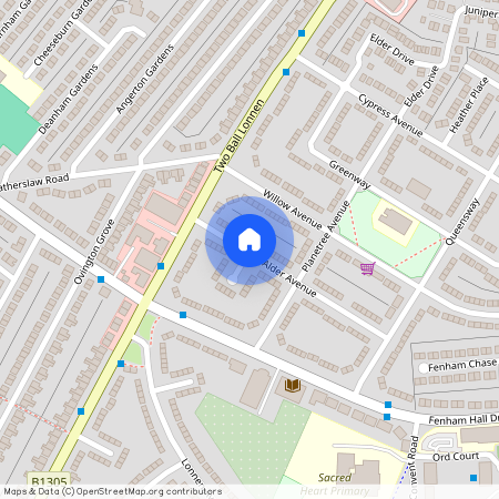 Alder Avenue, NE4 9TD, Newcastle Upon Tyne