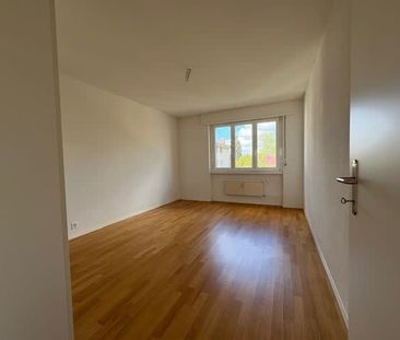 2.5 Zimmer, 56 m², 1. Stock - Photo 5