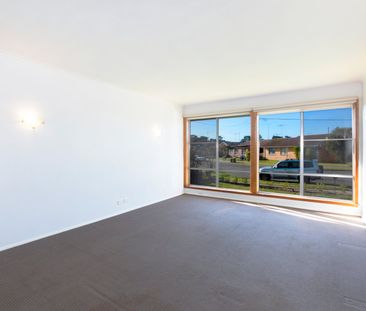 Renovated Family Home - Photo 5