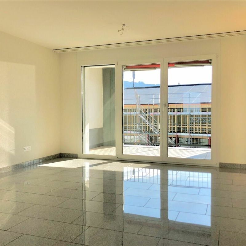 2.5 Room Apartment - Photo 1