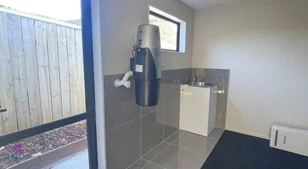 Only a year old and looking for a New Family - Photo 5