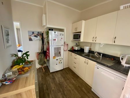 Sunny Unit - Photo 5