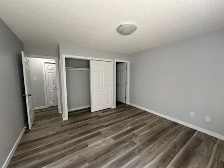 RENOVATED 1-Bedroom Apartment - SMALL PET FRIENDLY! - Photo 4