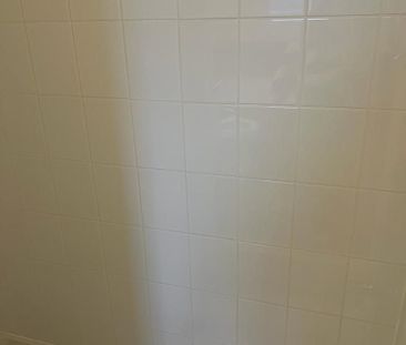 For Lease - 46 ROWLOCK ST Street, Welland, Ontario - Photo 5