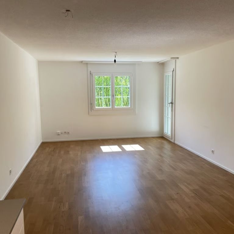 2.5 Zimmer, 55 m², EG - Foto 1