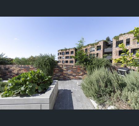 438/18 Huntley Street, Alexandria, NSW 2015 - Photo 3