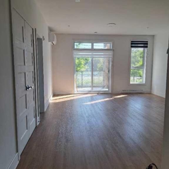 Grand 3 1/2 à louer Beloeil Animaux acceptés - Photo 1