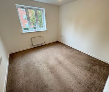 Kelham Drive - Photo 4