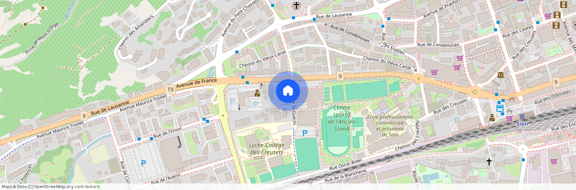 Rue St-Guérin 24, 1950 Sion