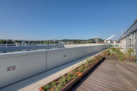 Pleasant feeling above the rooftops of Aarau - Photo 5