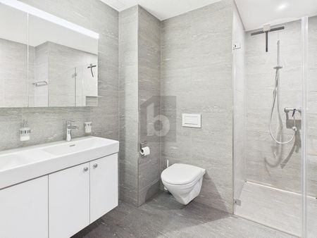 NEW CONSTRUCTION WITH SUNNY BALCONY - Photo 5