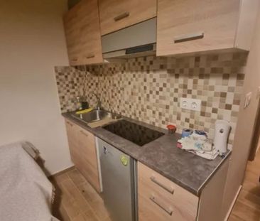 Studio/Γκαρσονιέρα για ενοικίαση Κυνοσάργους (Νέος Κόσμος) - Photo 6
