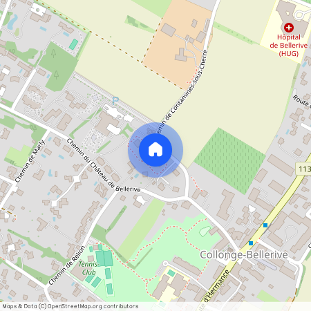 Chemin de Contamines-Sous-Cherre 11, 1245 Collonge-Bellerive