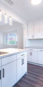 Renovated 1Bed 1Bath Apartment in Heart of Cambie Village - Photo 3