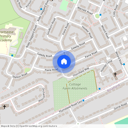 Paine Road, Norwich, NR7