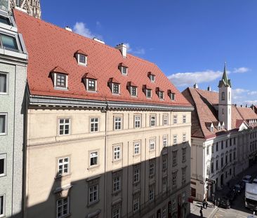 1 Zimmer Wohnung mit Blick zum Stephansdom - Photo 6