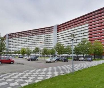 Perim 0ong, 1503 Zaandam, Nederland - Photo 3