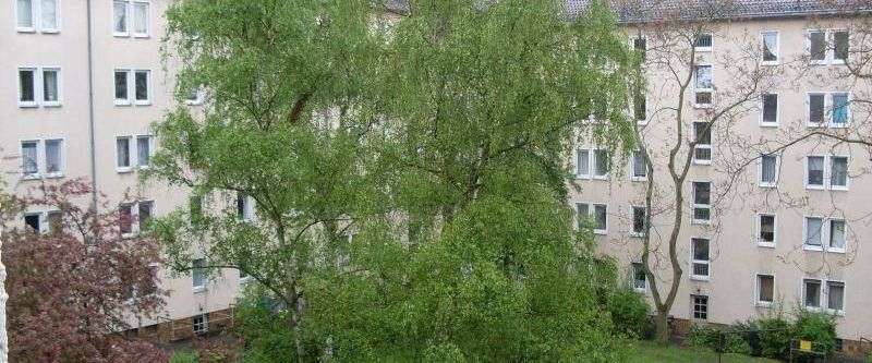 Neu renoviertes Zuhause! Helle 3-Zimmer-Wohnung ab sofort frei - Photo 1