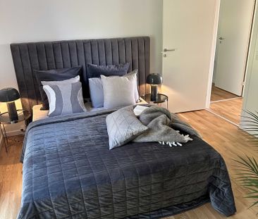 Hollænderen 6, 2. TV - Photo 3