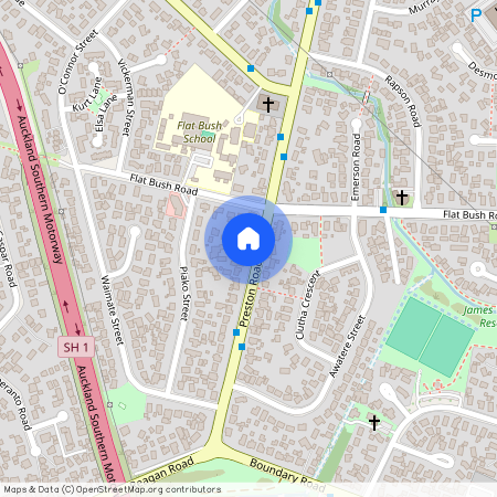 86 Preston Road, Clover Park, Auckland