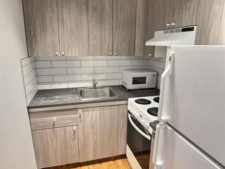 1820 Boul. Rosemont - Photo 4