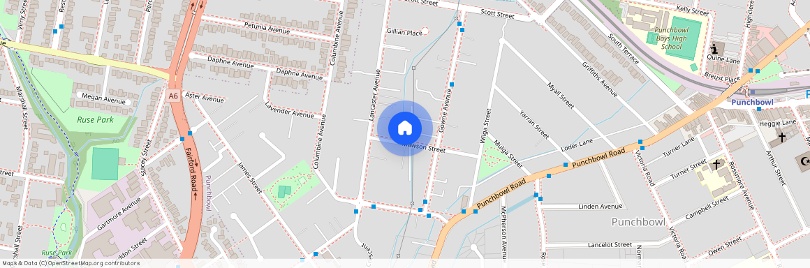 3 Mawson Street, NSW 2196, Punchbowl