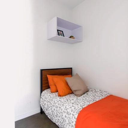 Large 1 Bedroom with balcony style 2 - Photo 1