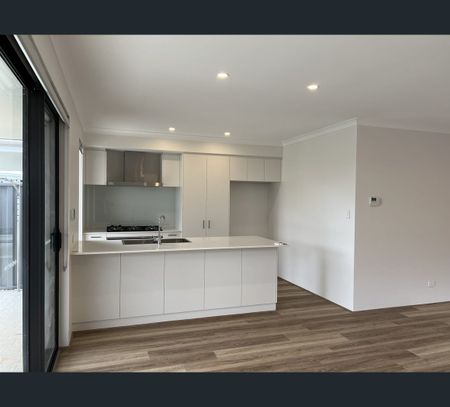 45 Lycaste Parade, Treeby, WA 6164 - Photo 3