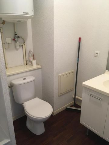 Location Appartement 1 pièce 18m² VILLEURBANNE 69100 - Photo 3