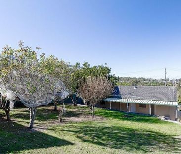 12 Werona Street, North Lambton NSW 2299 - Photo 4