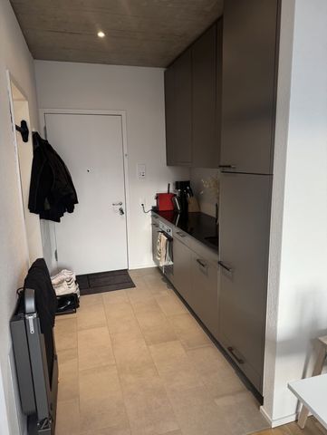 1.5 Zimmer, 29 m², 3. Stock - Foto 3