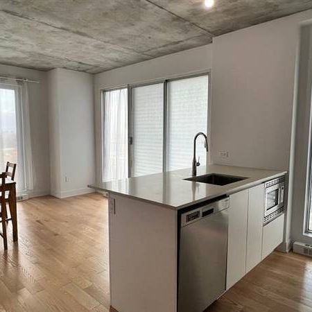 2300 Rue Tupper #614 Montréal (Ville-Marie), Quebec H3H0B9 - Photo 3