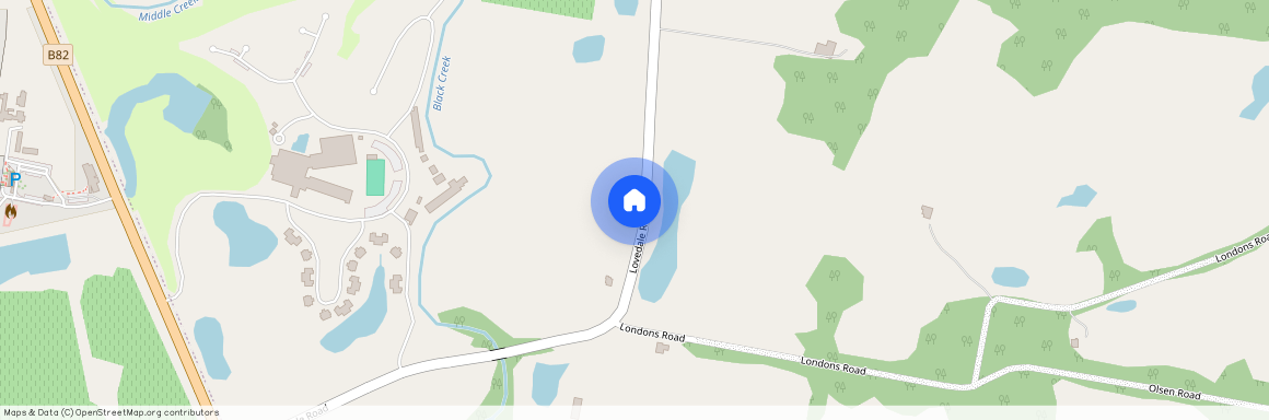 99 Lovedale Road, NSW 2325