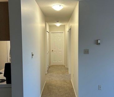 Mayfair Village East 2BD/1BA - Photo 4