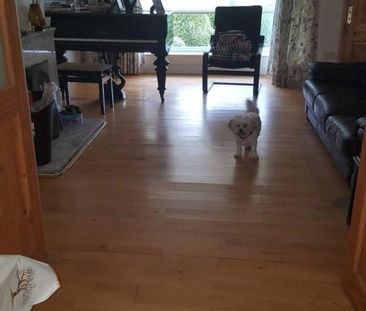 Apartment for rent, 19, Kingston Grove (Dublin, Ireland) - Photo 1