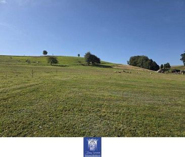 Himmlische Dachwohnung in herrlicher grüner und ländlicher Umgebung! - Photo 4