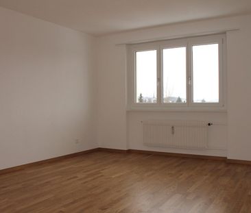 3 Zimmer, 75 m², EG - Foto 5
