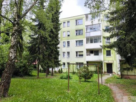 Pronájem bytu 3+1 s lodžií na Schweitzerově ul. v Olomouci - Photo 4