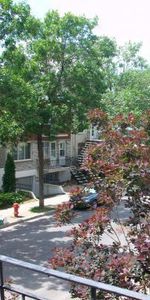 Charmant 3 ½ au 2e étage – Rosemont | Métro Joliette | Animaux acceptés 🐾 - Photo 3