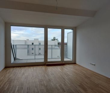 Zweitbezug! Nahe der Stammersdorfer Weingärten! Brünnerstraße 271 - Photo 1