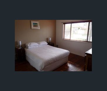 Cozy 3 Bedroom House! - Photo 3