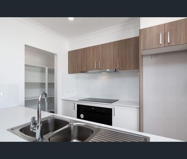 73 Palm Forest Circuit, Forest Glen, Qld 4556 - Photo 1