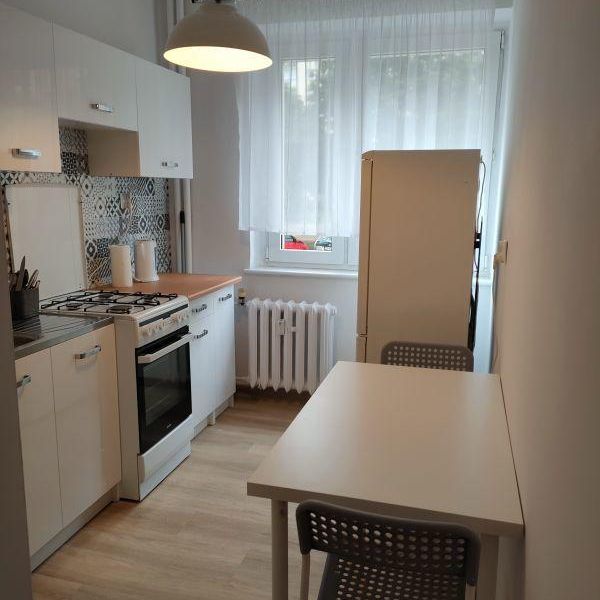 MIESZKANIE na WYNAJEM - Photo 1