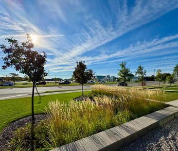 For Lease - 210 Sabina Drive Unit# 115, Oakville, Ontario - Photo 5