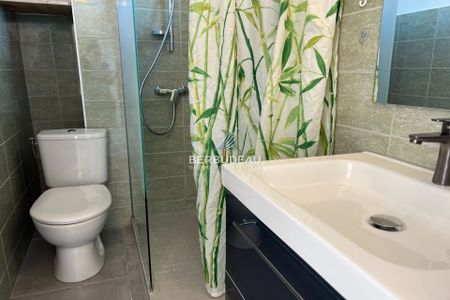 Location Appartement 1 pièce 20m² CARPENTRAS 84200 - Photo 3