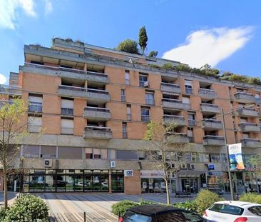 Location Appartement 1 pièce 31m² MONTAUBAN 82000 - Photo 2