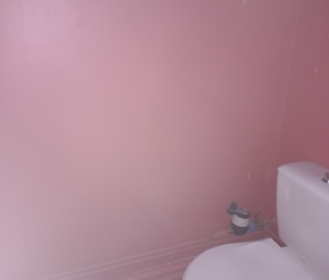A louer très bel appartement T1 situé en centre ville de Chateau Chino - Photo 4