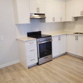 $300 Move-in Bonus - 1-Bedroom Apartment-Newly Renovated: - Photo 4