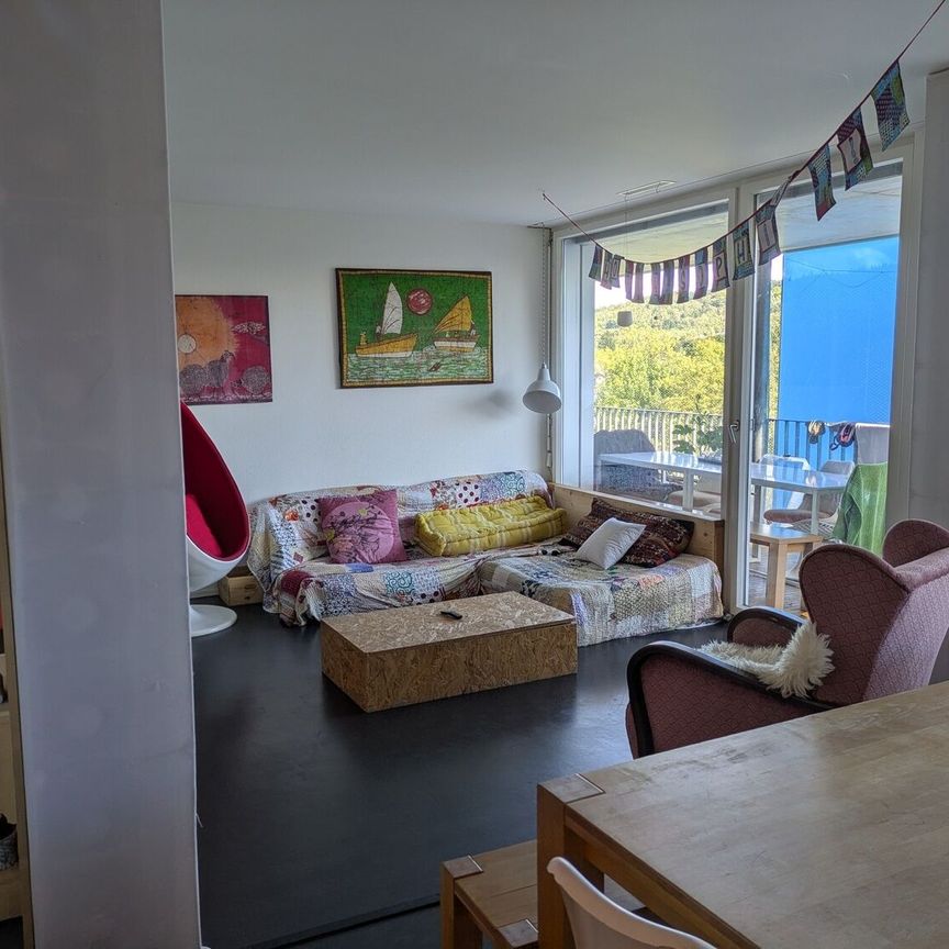 FOR CAT LOVERS IN ZURICH – DISTRICT 6, FURNISHED, TEMPORARY - Photo 1