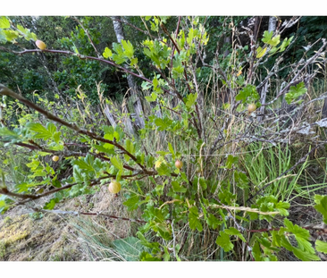 Granelundsvägen, Värnamo - Foto 1